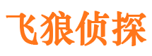 留坝市调查公司